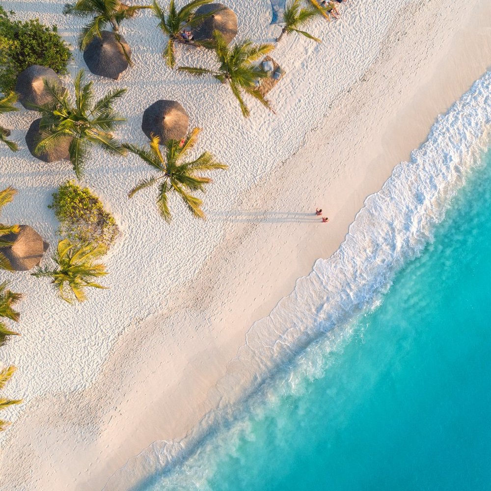 Meet your Posher, Sadie